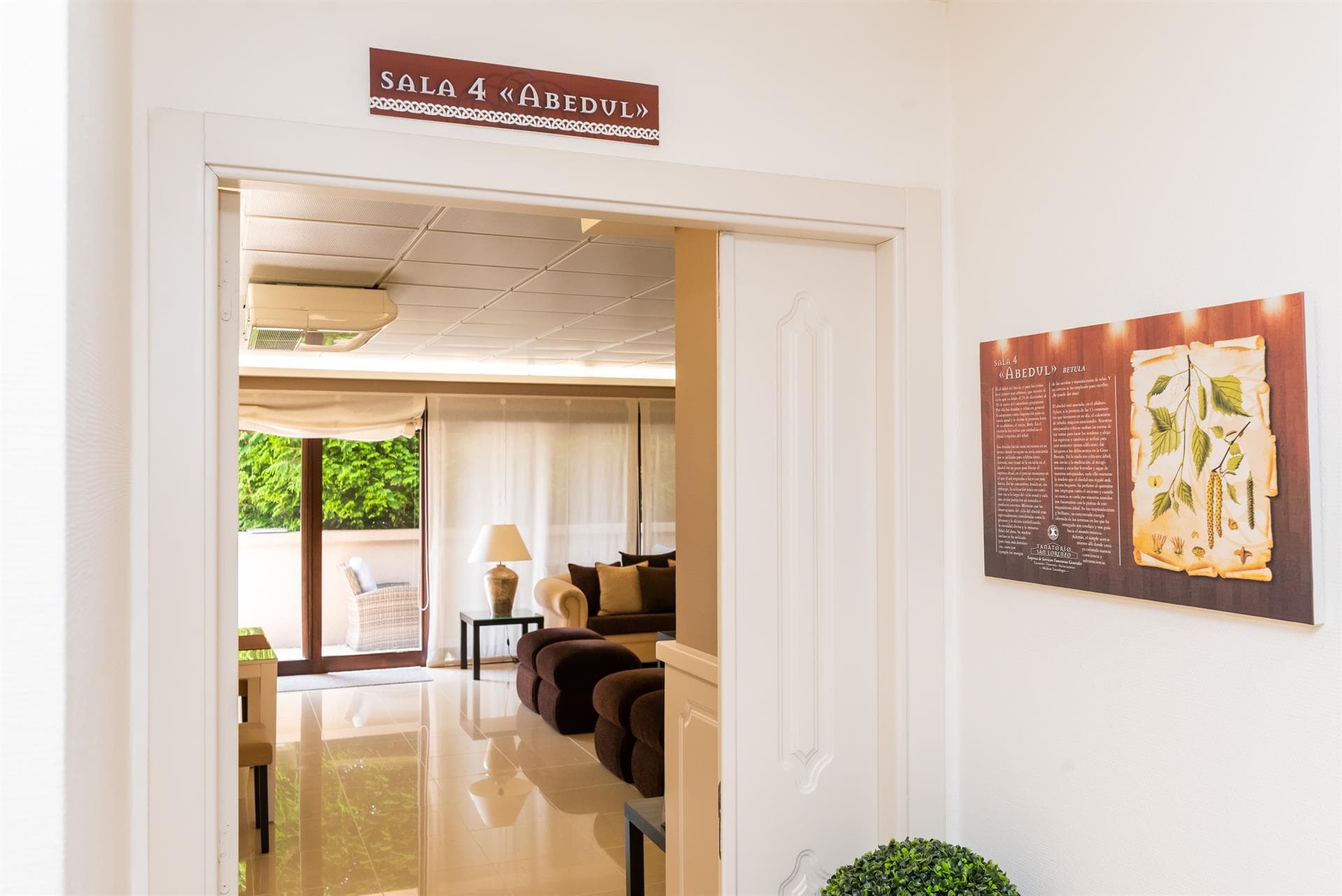 Sala IV - Abedul