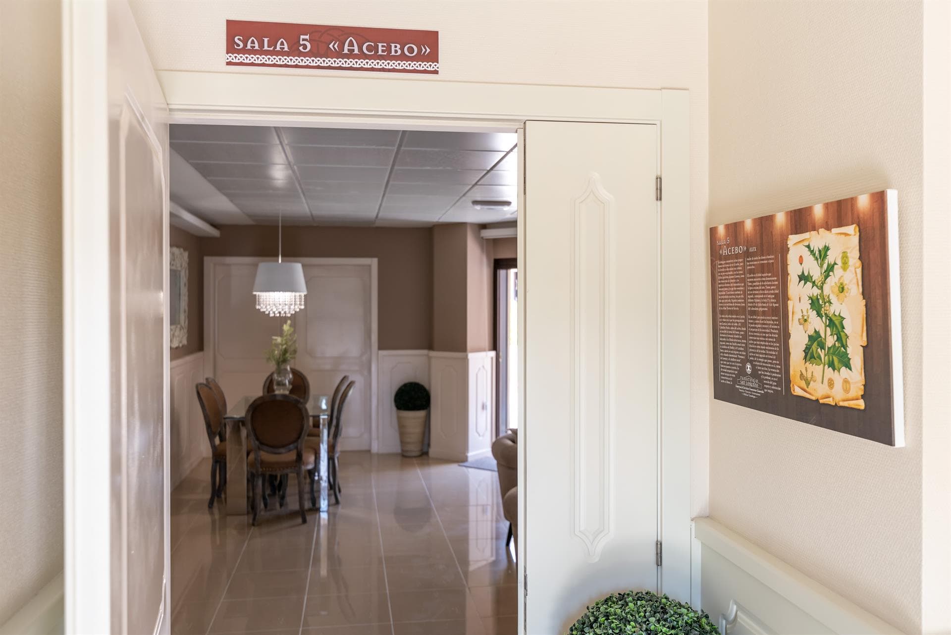 Sala V - Acebo