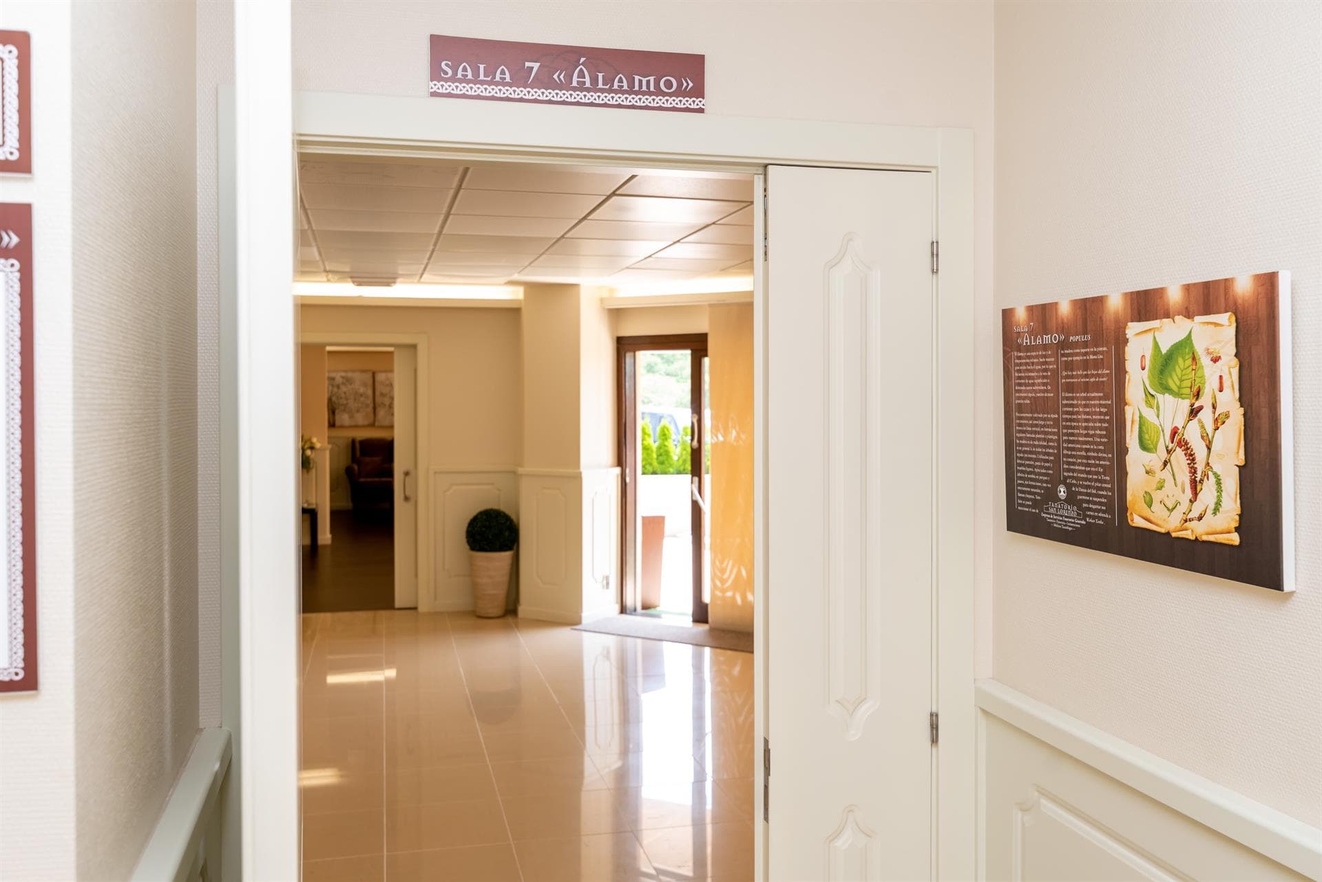 Sala VI - Arce