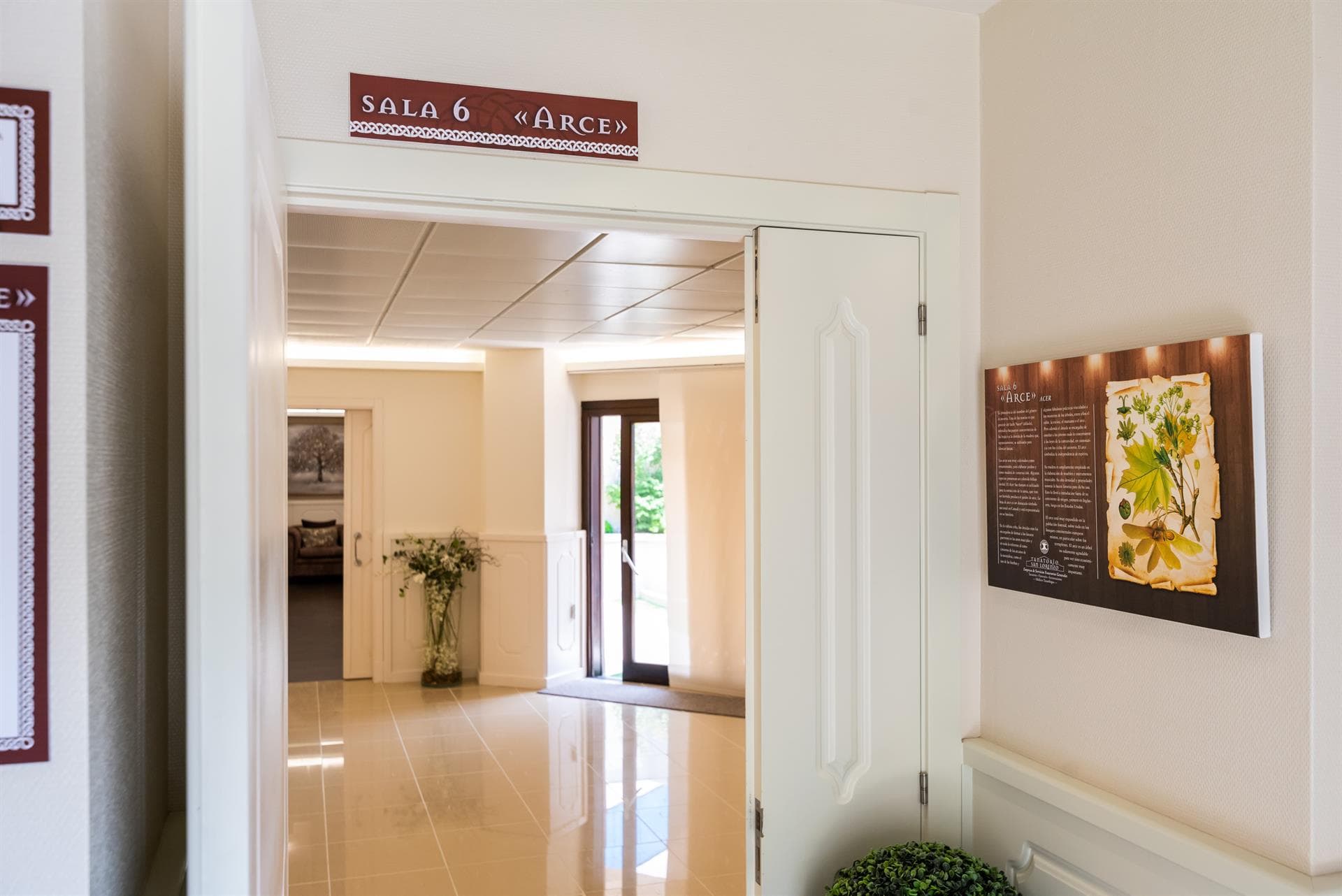 Sala VI - Arce